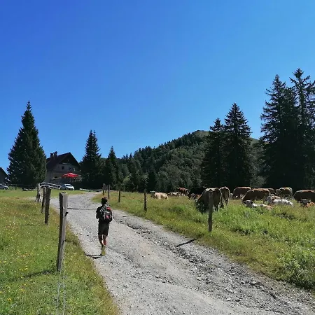 Apartma Na Ravnicah * Cerkno