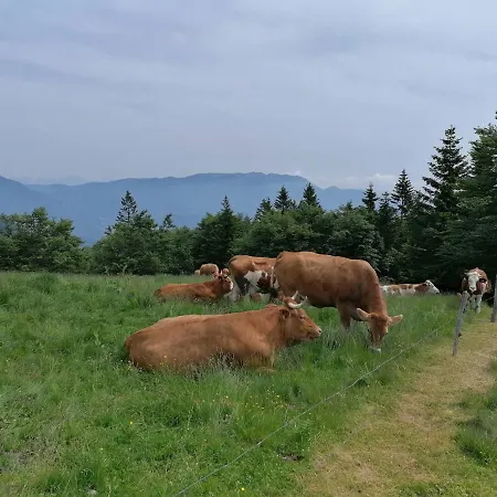 Apartmán Apartma Na Ravnicah Cerkno