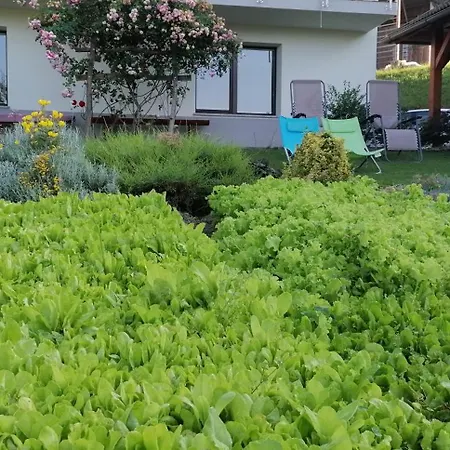 Apartmán Apartma Na Ravnicah