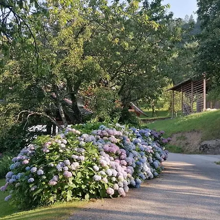 Apartma Na Ravnicah Cerkno