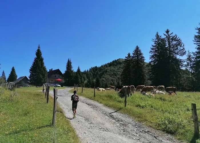 Apartma Na Ravnicah * Cerkno