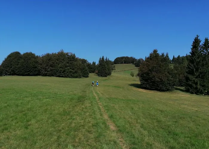 Apartma Na Ravnicah Appartement Cerkno