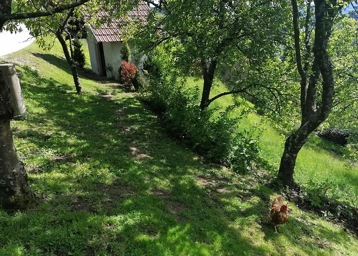 Apartma Na Ravnicah Appartement *