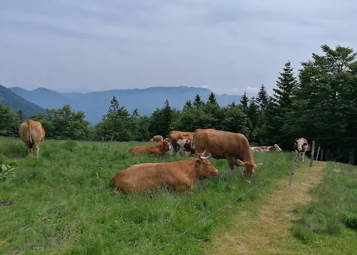 Daire Apartma Na Ravnicah Cerkno