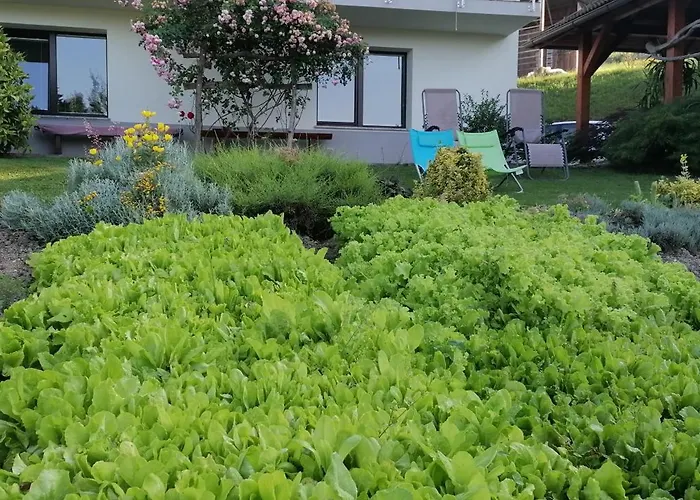 Appartement Apartma Na Ravnicah