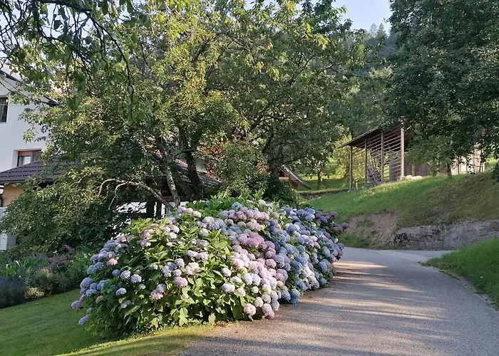 Apartma Na Ravnicah Cerkno